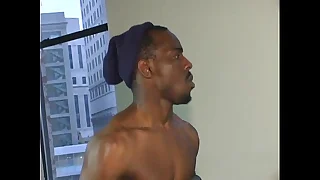 44524 gay porn videos